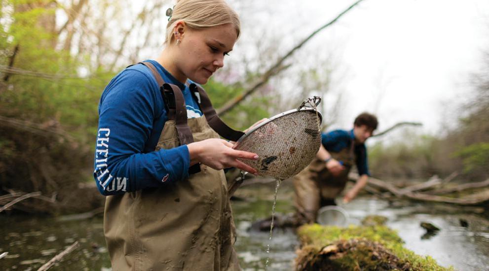 Students doing field work in a wetland environment.